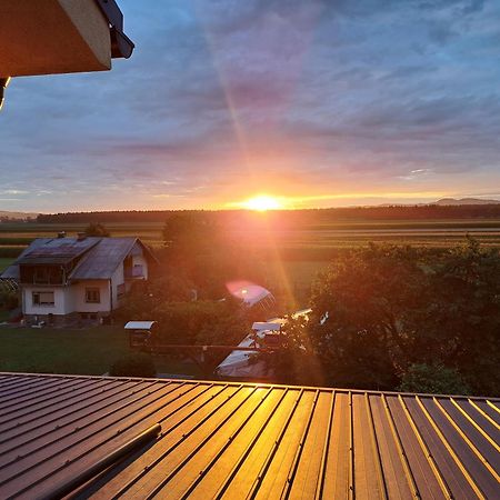 Guesthouse Zivko Dobrovce Zewnętrze zdjęcie