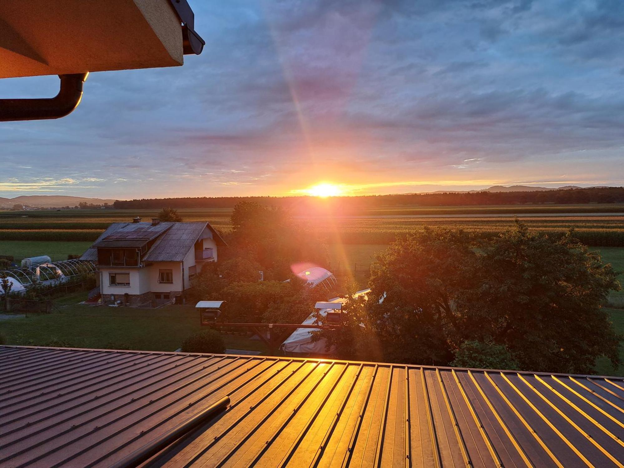 Guesthouse Zivko Dobrovce Zewnętrze zdjęcie
