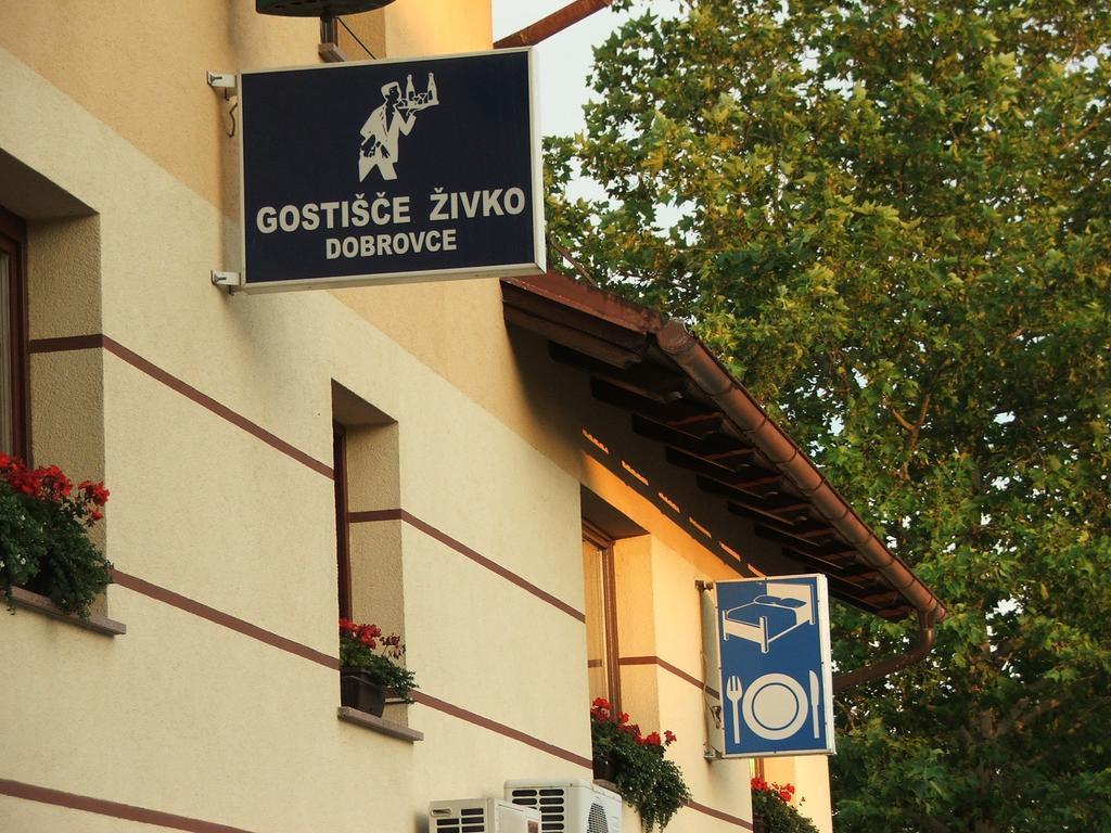 Guesthouse Zivko Dobrovce Zewnętrze zdjęcie